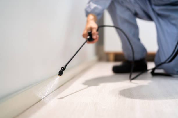 Licensed Pest Control service in Berryville, VA - Show Me Pest Control