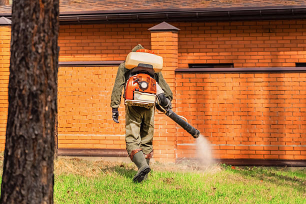 Bed Bug Clearance Verification and Documentation in Berryville
